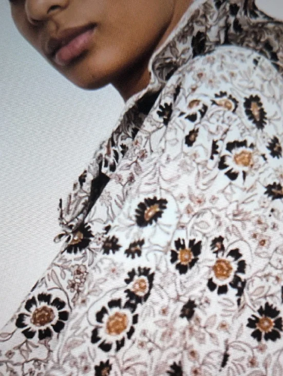 Zara Floral Ruffle Blouse in Cream & Brown - Picture 4 of 13